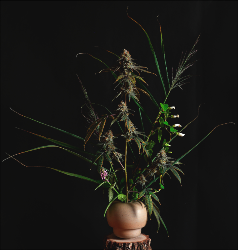 Main image bouquet C2