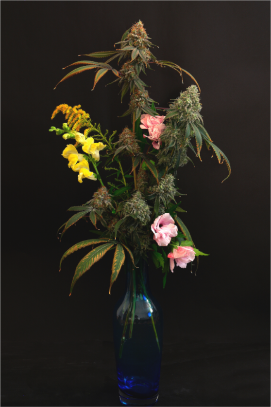Main image bouquet C12