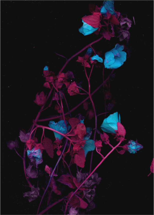 Main image black sequence W1 (Format B: 105x147cm)