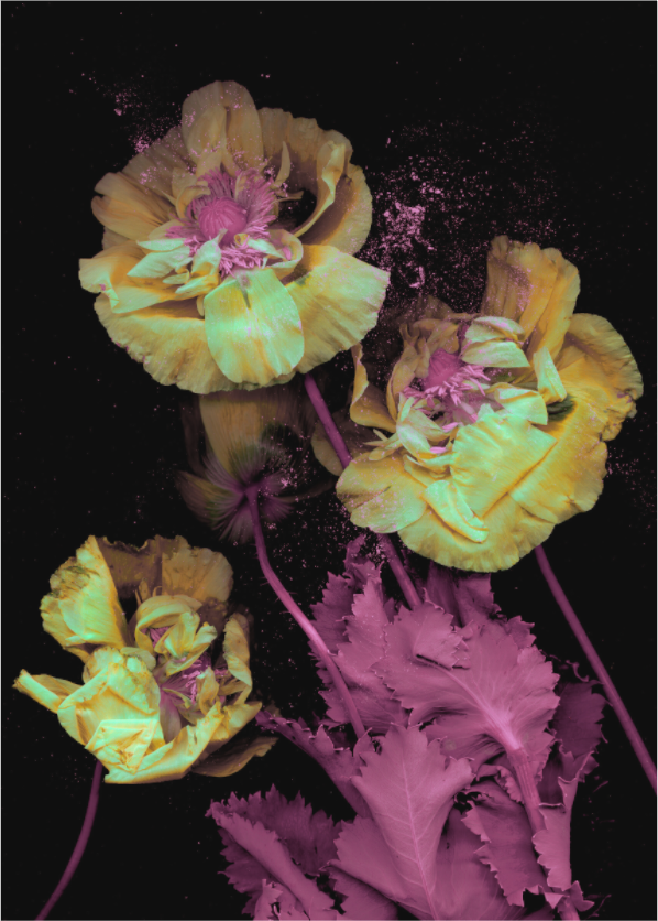 Main image black sequence P1 (Format B: 105x147cm)