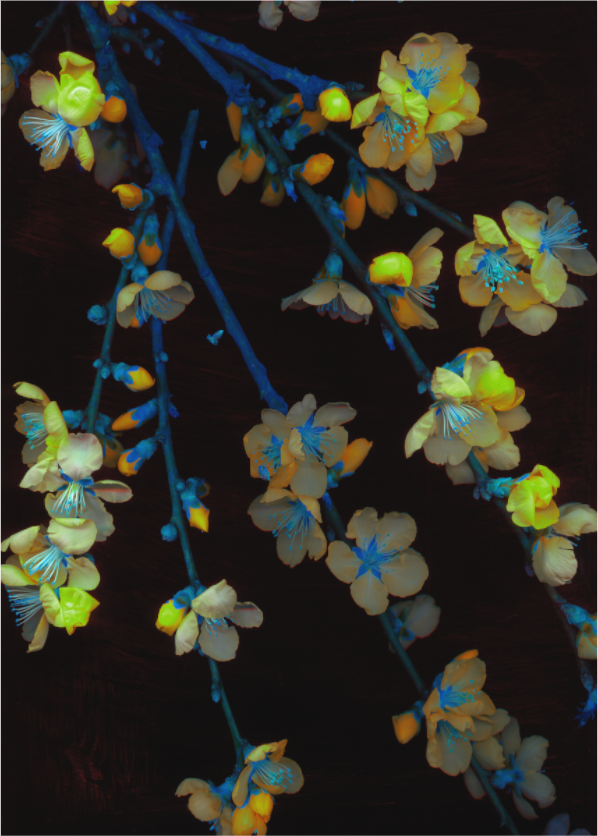 Main image black sequence A2 (Format B: 105x147cm)