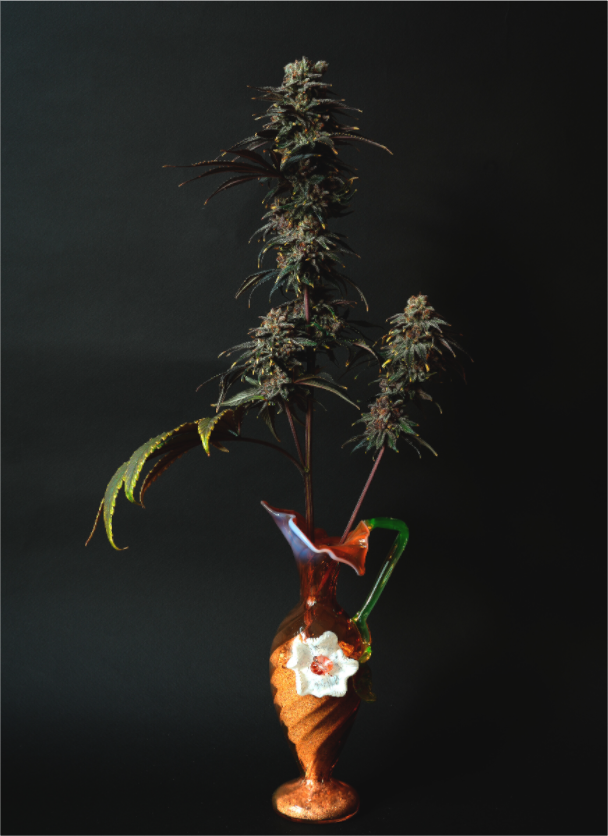 Main image bouquet C6