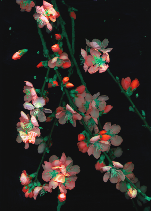 Main image black sequence A1 (Format B: 105x147cm)