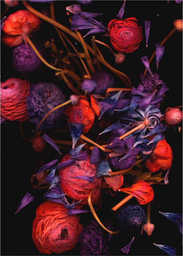 Main image black sequence R1 (Format B: 105c147cm)
