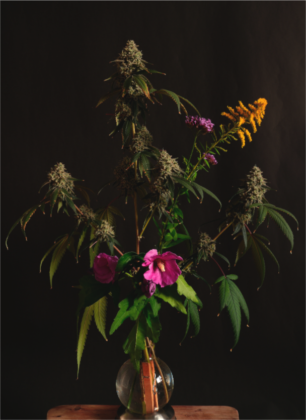 Main image bouquet C18