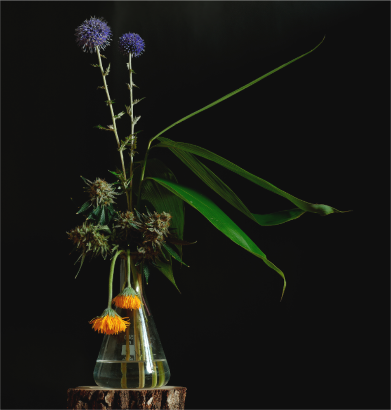 Main image bouquet C2