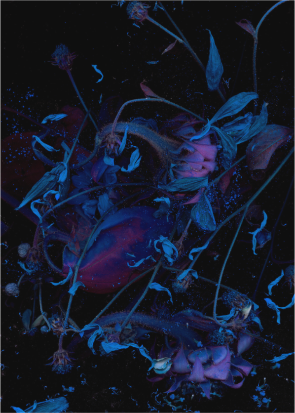 Main image black sequence S2 (Format B: 105c147cm)