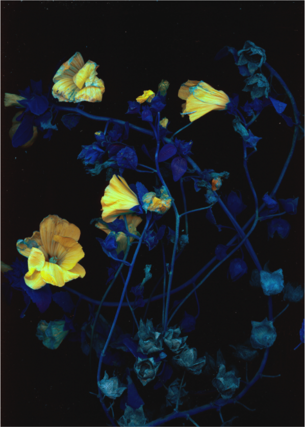 Main image black sequence W2 (Format B: 105x147cm)