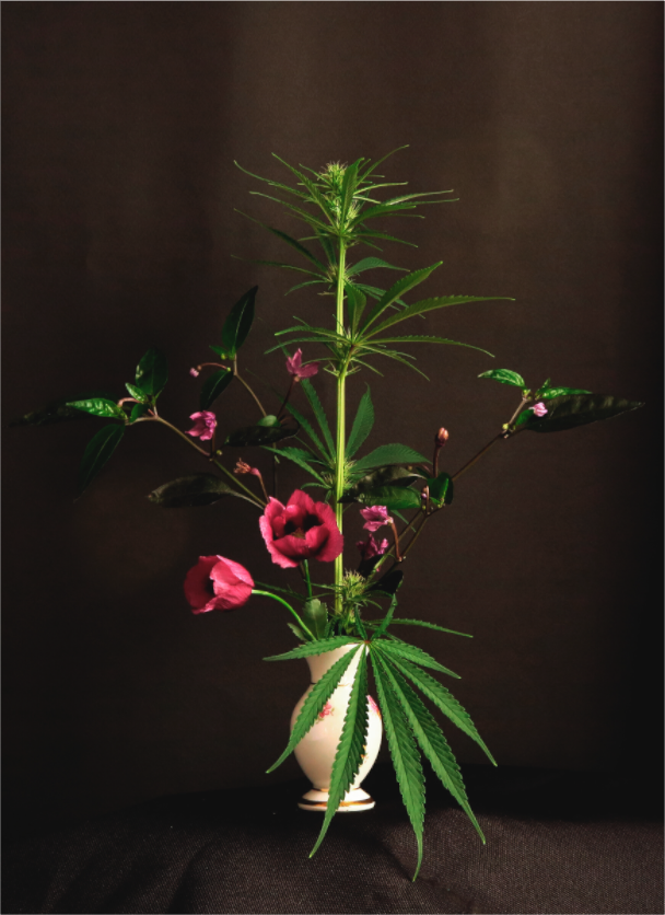 Main image bouquet C10