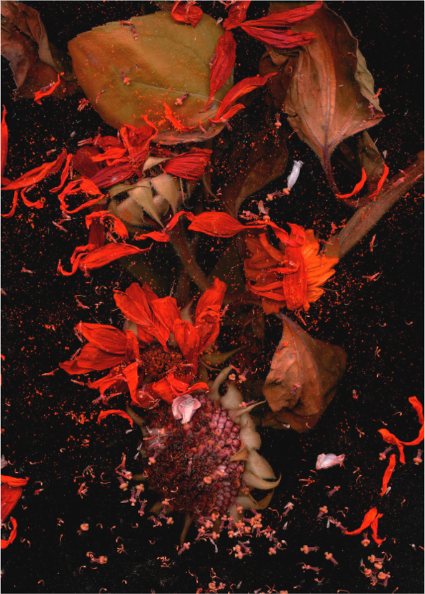 Main image black sequence S1 (Format B: 105 x147cm)