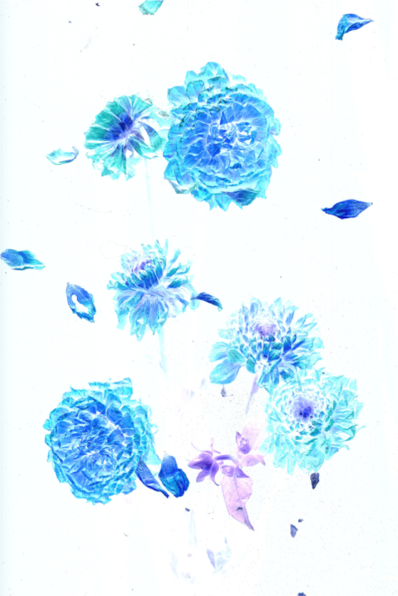 Main image Another Dimension (B) D1