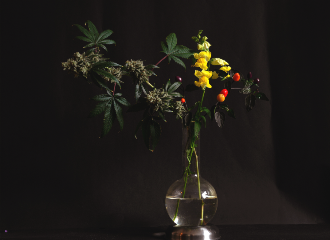 Main image bouquet C7